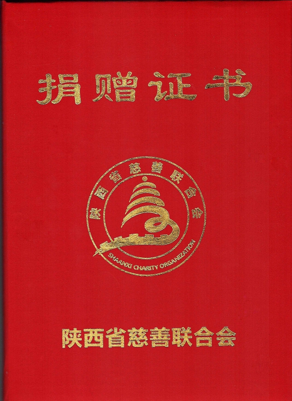 陕西德万泰税务师事务所有限责任公司捐赠证书